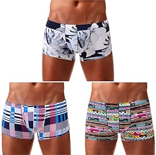 Arjen Kroos Men's Low Rise Seamless Boxer Briefs Hipster Pouch Underwear, L/30.7-33.1 inch, Multicolor(3-pack)