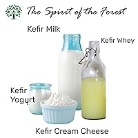 Vista 2 de Granos vivos de kéfir de leche - Live Active Starter Cultures Scoby para bebida probiótica casera para almendras, kéfir de coco o leche entera
