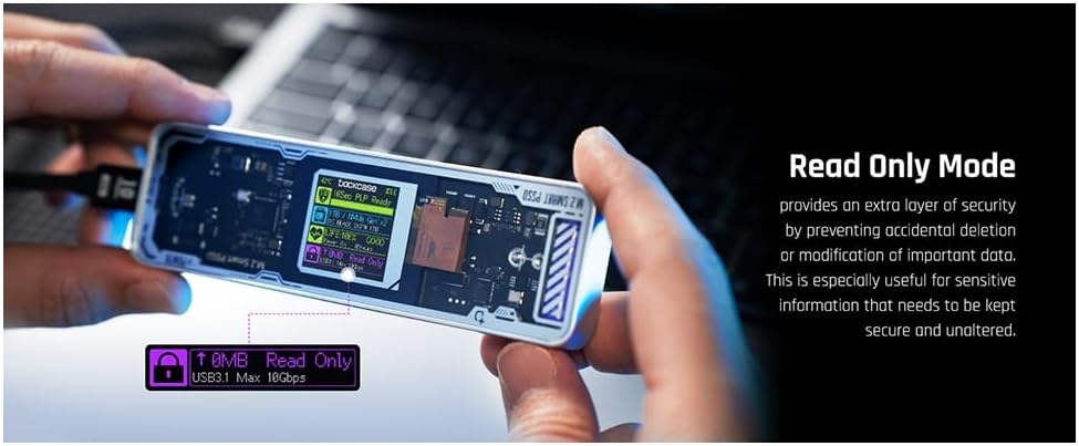 ㊽大きめ苗! 青鬼❣️円❣️もみじ飴❣️三日月❣️6苗メルカリ便送料