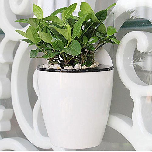 Sungmor Self Watering Wall Planter - Modern White & 3Pc Pack & Small Size - Indoor Outdoor Vertical Flower Pot - Wall Mounted Window Hanging Pot - Water Storage Space Design Container #TOP1