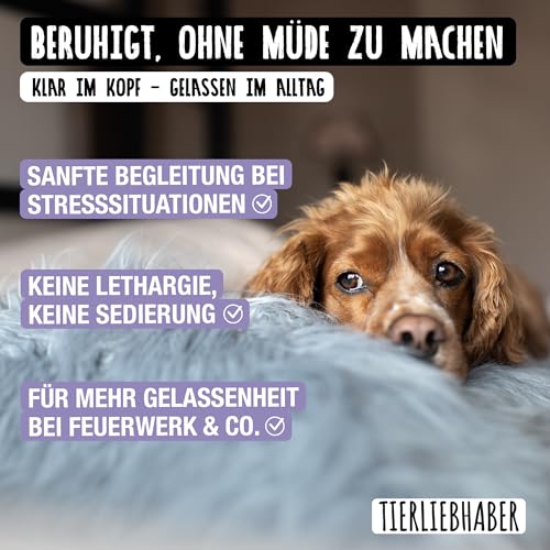 TIERLIEBHABER - Chillout Saft für Hunde zur Beruhigung bei Angst und Stress an Silvester – 100% natürliches Beruhigungsmittel für Hunde – Anti-Stress Saft mit Baldrianwurzel, Lavendel & Johanniskraut