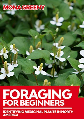 Foraging For Beginners: Identifying Medicinal Plants in North America (English Edition)
