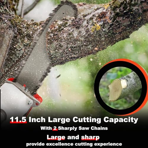 58CC Gas Pole Saw Long Reach