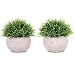 Lvydec 2 Pack Artificial Potted Plants, Mini-Sized Fake Topiary Plants in Pots for Bathroom Office Desk Shelf Kitchen Decoration