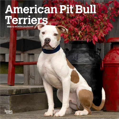 American Pit Bull Terriers | 2026 12 x 24 Inch (Hanging) Monthly Square Wall Calendar | Plastic-Free | BrownTrout | Animals Dog Breeds