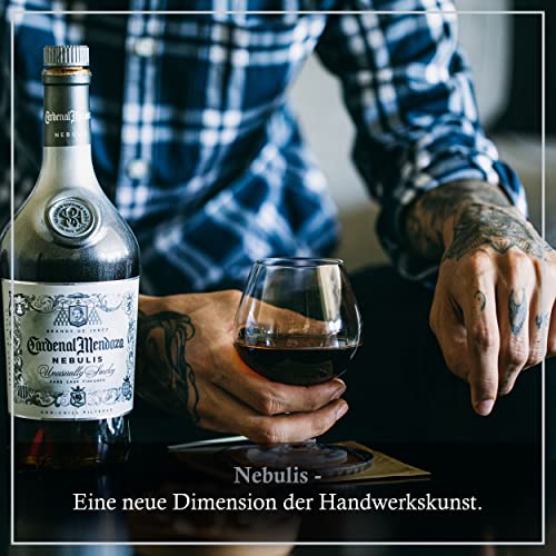 Cardenal Mendoza Nebulis Brandy de Jerez,Rare Cask Finished,(1x0,7l)40Prozent vol-Vielfach prämierter Premium Weinbrand in hochwertiger Geschenkbox,handwerkliches Erzeugnis mit begrenzter Produktion