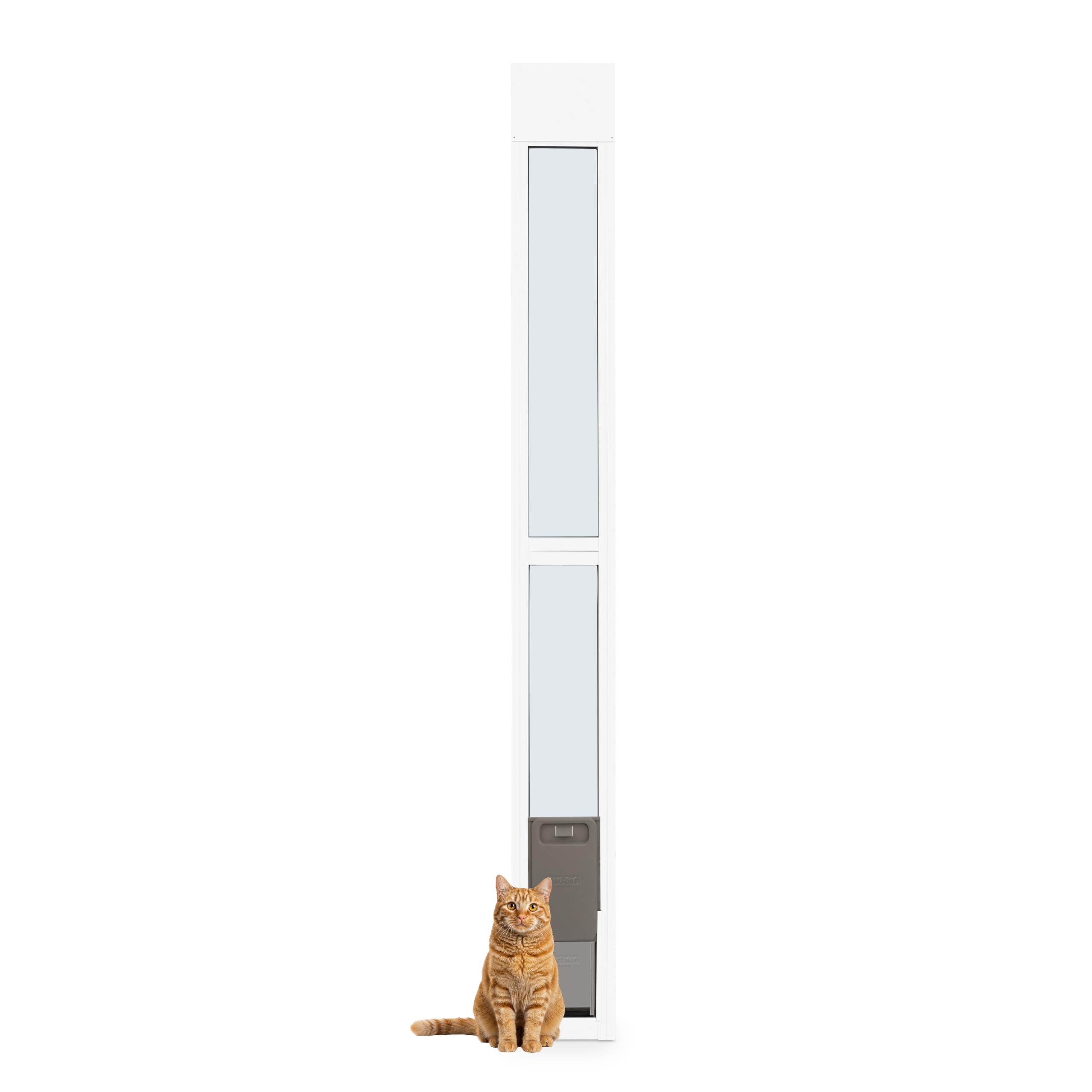 PetSafe Sliding Glass Pet Door, Aluminum Frame, Pets Up to 15 lb, Small