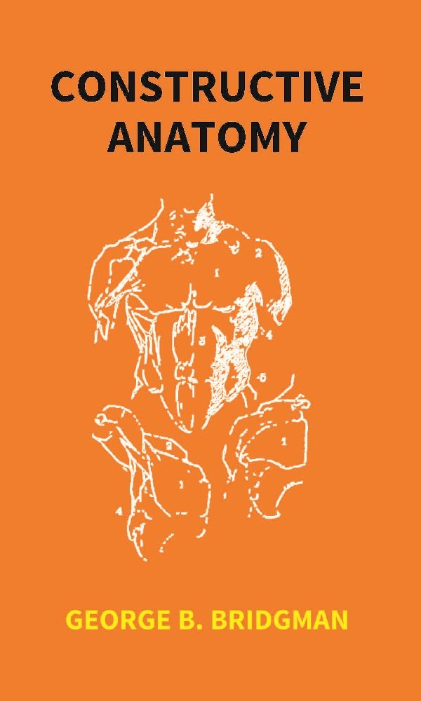 Image of Constructive Anatomy