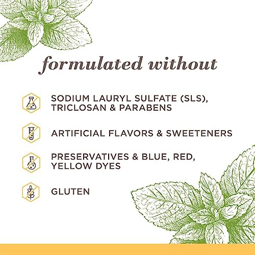 Burt's Bees Toothpaste, Natural Flavor, Fluoride-Free, Purely White, Zen Peppermint, 4.7 oz,Count 24, Pack of 8