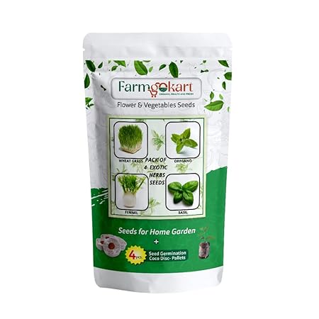 Farmgokart Combo Pack Of 4 Exotic Herb Seeds | WHEAT GRASS, OREGANO, FENNEL & BASIL |Easy To Grow | Best Suitable For Terrace And Home Gardening | With 4 Coco Disc - (VC-04)