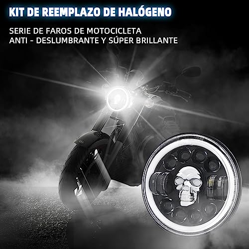 Motos, DVD motos 250 chopper Marca AUTOFAST (2)