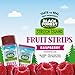 Bundle of Black Forest Stretch Island Fruit Strips - Raspberry, Strawberry, & Grape Flavors (90 Count)