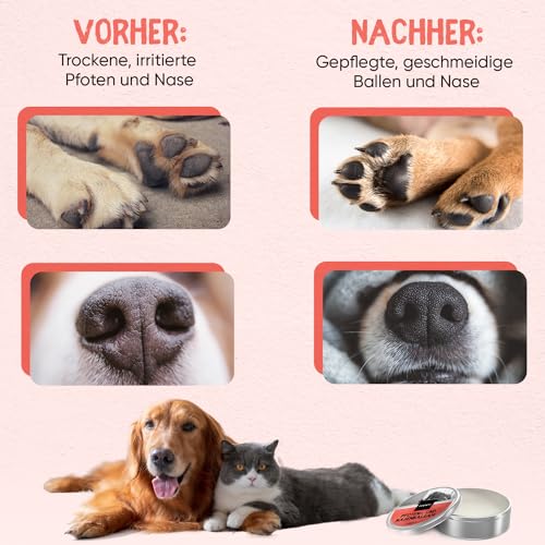 Nasen & Pfotenbalsam für Hunde & Katzen - Für trockene, rissige Nasen & Pfoten im Sommer - 60ml Pfotenpflege & Nasenbalsam mit Lavendelöl, Bienenwachs, Vitamin E - Nasensalbe & Pfotenschutz - animigo