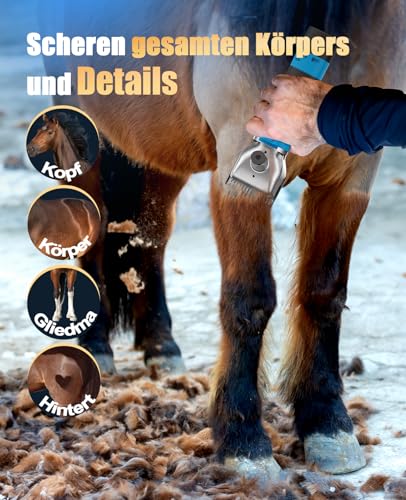 oneisall Schermaschine Pferd 2 Akkus, Professionen pferde schermaschine für Dickes und Verfilztes Haar, kabellose Schermaschinen pferde mit 2400 PRM/MIN Leistungsstarkem Motor (Blau)