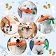 Zeaying 2 Stück Hundespielzeug Karotte Welpen, Puppy Karotte Seil Spielzeug Geflochtene, Kauspielzeug für Welpen, Hundespielzeug Karotte Interaktives, Hundespielzeugs für Kleine Mittelgroße Welpen