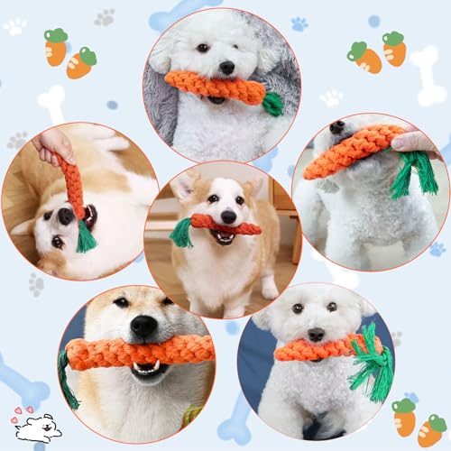 AWYY 2 Stück Karotte Hundespielzeug, Puppy Karotte Seil Spielzeug Geflochtene, Kauspielzeug für Welpen, Hunespielzeug aus Geflochtenem Seil, Hundespielzeug für Kleine Mittelgroße Welpen, Zeaying96