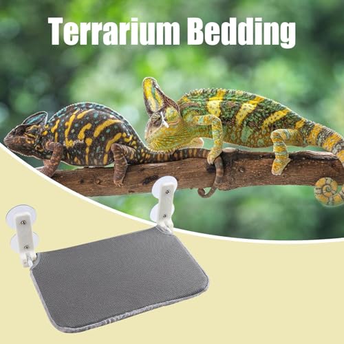 Lit lézard ventouse : le hamac pliable idéal pour la fenêtre de votre reptile