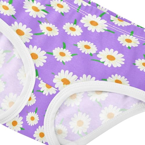 Toddler Girls Underwear 2t Cotton Panties Little Girl Animal Briefs Underpants White Daisies Purple4