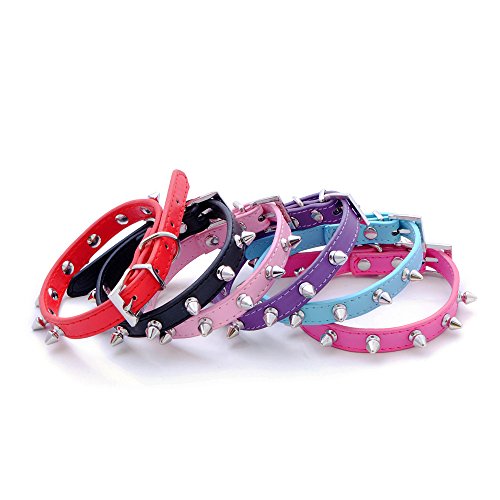 haoyueer Hundehalsband aus Leder, mit Nieten, Pilze, Nieten, Katzenhalsband für kleine mittelgroße Hunde, Katzen, Welpen, Kitty (S, Schwarz)