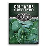 Collard Green Seeds for Planting | Georgia Southern Heirloom Non-GMO Variety | Leafy Greens for Home Vegetable Gardens - Survival Garden Seeds (1 Pack)