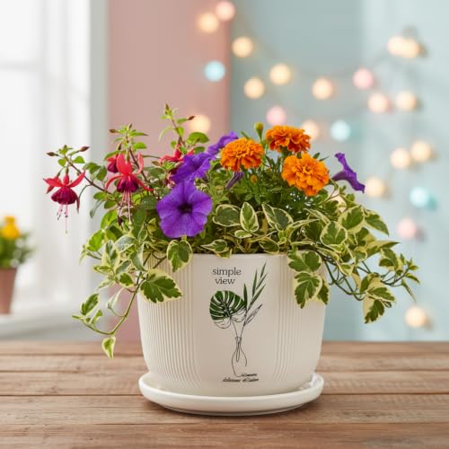 Image of Xtore Botanique Ceramic Planter with Drainage Tray | Ribbed Botanical Print Flower Pot for Balcony, Home, Study Table, Office Desk & Window Decor - (White, 1 Piece, Planter ONLY)