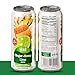 VINUT Ginger, Honey & Lime Juice, 85% Juice, No Added Sugar, Not From Concentrate, 16.9 fl oz (500 mL) Can, Pack of 12