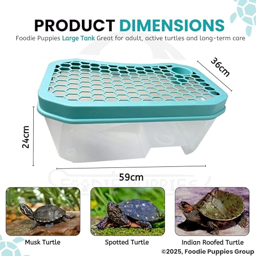 Image of Foodie Puppies Turtle Tank Aquarium - (Large, Honeycomb Tank) (59x36x24cm) with Lid and Ramp | Basking Platform, Swimming Area, breeding, Hibernation Area for Turtle (Color May Vary) (No Accessories)
