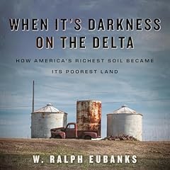 When It's Darkness on the Delta Audiolibro Por W. Ralph Eubanks arte de portada