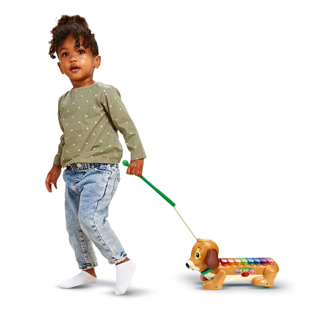 VTech - Elton, Mon Rouli Xylophone, Perro Interactivo para Caminar, xilófono Luminoso 2 en 1, Instrumento Musical para bebés, Juguete para Disparar, Regalo para niños a Partir de 18 Meses