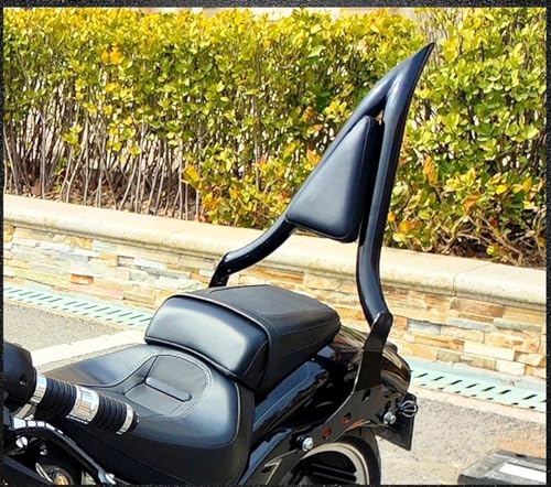 Appui-dos passager arrière de moto finition chrome Softail FXSE - 4