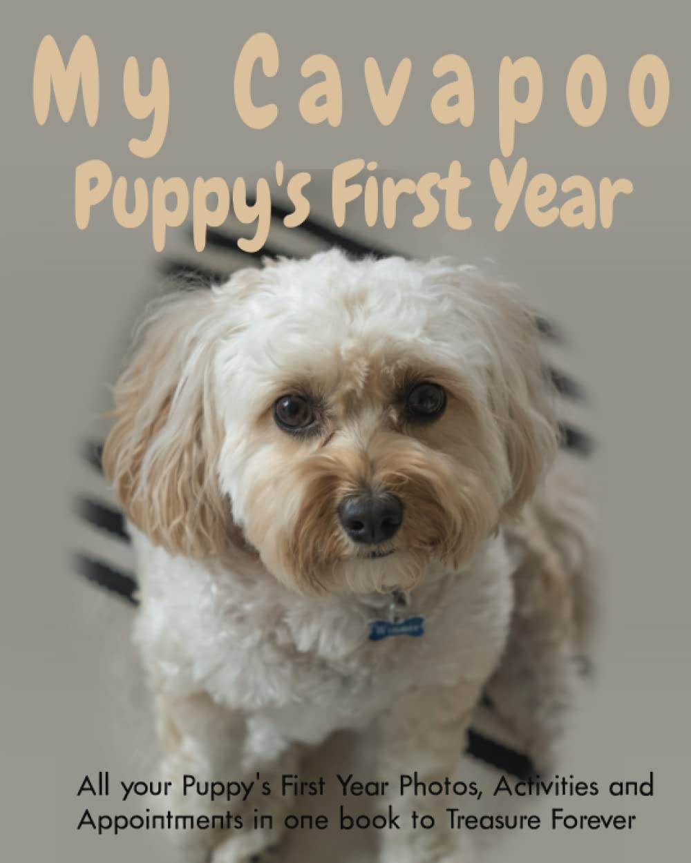 My Cavapoo Puppy's First Year: Puppy Book Memory Keepsake Journal, includes medication log, training log, growth chart and pampered pup appointments etc.