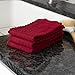Ritz Royale Collection 100% Combed Terry Cotton, Highly Absorbent, Kitchen Dish Cloth Set, 13-3/4