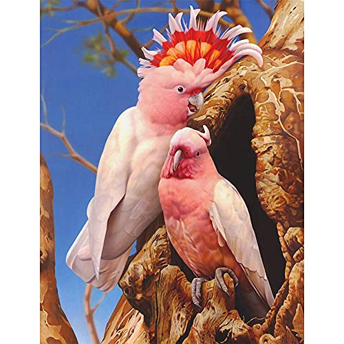 Peinture diamant 5D oiseau rose kit complet 50x100cm art créatif pour bureau
