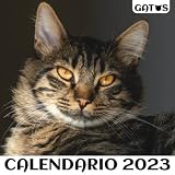  Calendario de gatos 2023: Calendario de España 2023. Calendario de 12 meses con festivos nacionales. Almanaque pequeño de pared con fotos de lindos ... Regalo para amigos y familiares. 21x42 cm