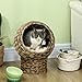 PawHut Rattan Katzenkorb Katzenhöhle Katzenhütte Katzenbett mit Kissen Haustierbett Wasserhyazinthe Kaffee 40 x 37 x 51 cm