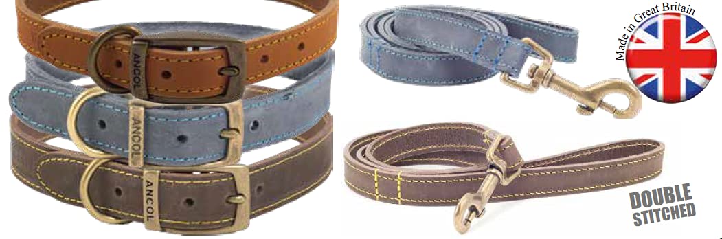 Ancol Timberwolf skórzana obroża dla psa, musztardowa, 35-43 cm, musztardowa