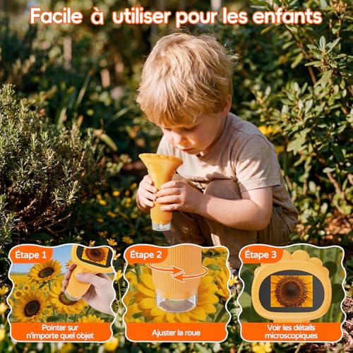 Microscope numérique rechargeable 1000X avec écran LCD et 8 lampes LED