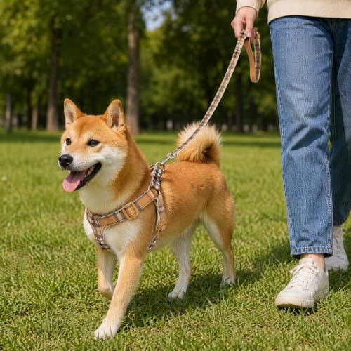 Cute Plaid Dog Collar Harness and Leash with Safety Buckle - Adjustable and No Pull Comfortable Dog Collars for Small Puppy, Stylish Durable Gift for Boy Girl Pets - Image 5