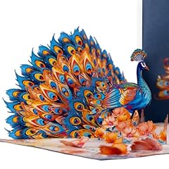 Colorful Peacock