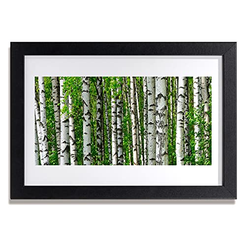Arbres de nature cadre photo mural pour salon et cuisine 30x20 cm