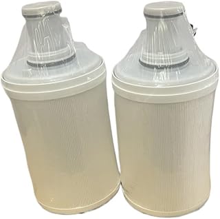 Compatible con cartucho de filtro de repuesto for purificador de agua Amway Espring 100188CH