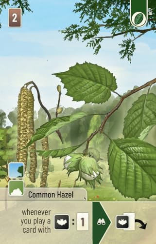 Lookout Games Forest Shuffle Woodland Edge Kartenspiel-Erweiterung – 36 neue Arten und Bäume für verbessertes Gameplay! Strategiespiel für… – Ansicht 3