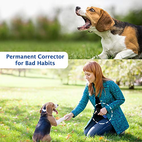 Canine Innvoations Pet Convincer Air Dog Training Deterrent Control