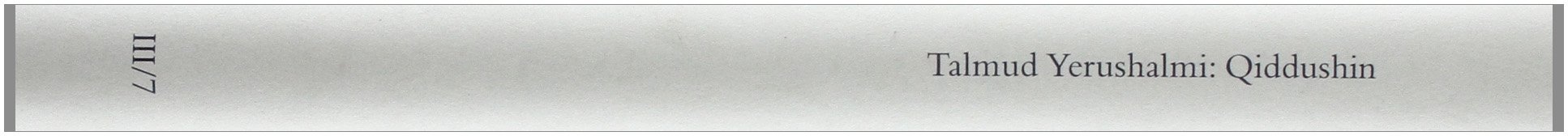 Übersetzung des Talmud Yerushalmi. Band 3/02: Sota (Die des Ehebruchs verdächtigte Frau): III. Seder Nashim. Traktat 2: Sota - Die des Ehebruchs verdächtigte Frau