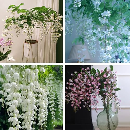 Climbing Jasmine Flower Seeds for Planting, 100 Jasminum Sambac Seeds, Perennial Flower Plants, Non-GMO Heirloom Climbing Jasmine Seed for Home Garden, Balcony, Vertical Garden Decor