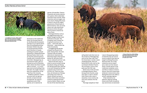 110 Nature Hot Spots In Manitoba And Saskatchewan: The Best Parks, Conservation Areas And Wild Places #TOP5