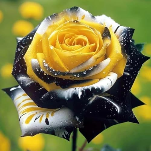 Gartendeko winterharte mehrjährige Rose keine Bewässerung erforderlich pflegeleicht geeignet für Frühling und Herbst-i-1Bulb