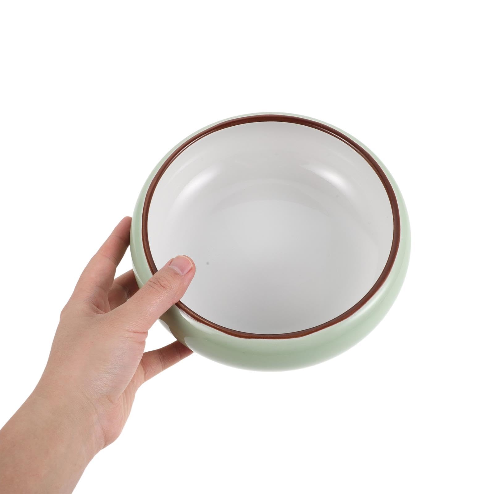 Ceramiczna Doniczka Hydroponiczna bez Otworów Do Kwiatów Lotosu i Narcyzów Doniczka Do Uprawy Wodnej Sukulentów Trwały Ceramiczny