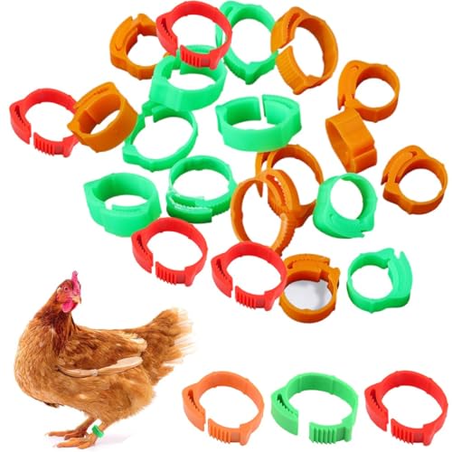 JEYORZY 60 Pcs Bague Poule Anneaux De Jambe D'Identification,Anneaux De Jambe Multicolores Pour Identification De Poulet,Bandes D'Identification,Bague Pour...