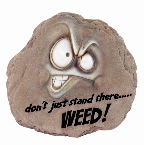 Spoontiques Weed Trittstein Cover